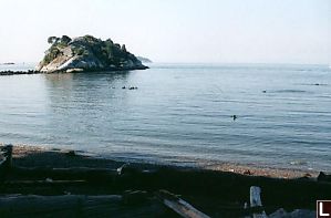 Left Side of Cove